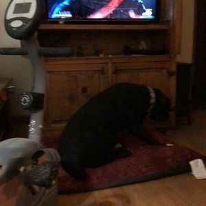 Meet your Posher, Mary